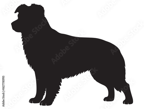 MINIATURE SHEPHERD DOG SILHOUETTE