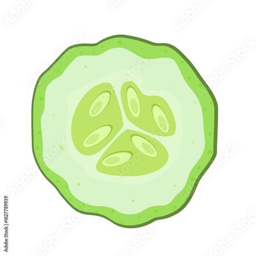 cucumber icon with round slice and wedge. Flat illustration of ripe green cucumber isolated on white background. Ideal for healthy eating, food design and organic products.