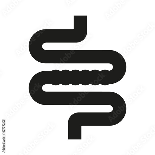 Intestine organ icon. Human gut symbol. Digestive system Vector. Anato
