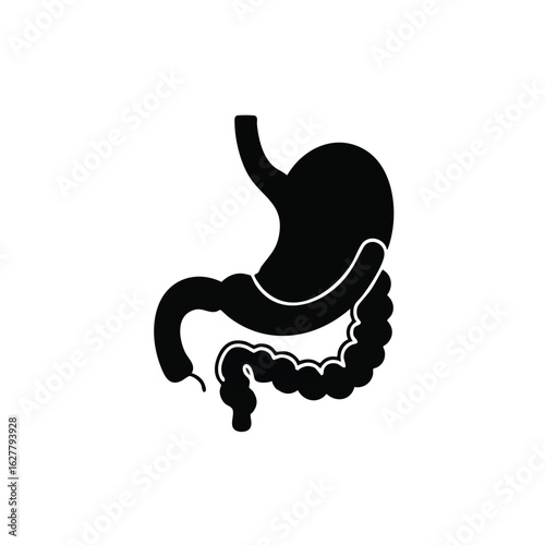 A clear black silhouette vector illustration of the human digestive system, highlighting stomach and intestines, isolated on white.