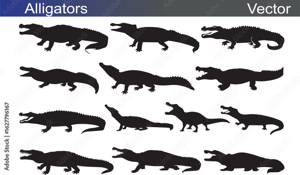 Aligator Silhouette Vectror Illustration on White Background Aligator Silhouette Vectror Illustration on White Background