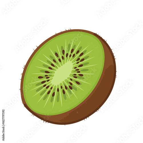 A detailed vector illustration of a fresh kiwi fruit sliced in half, showing its green flesh and black seeds, isolated on a white background.