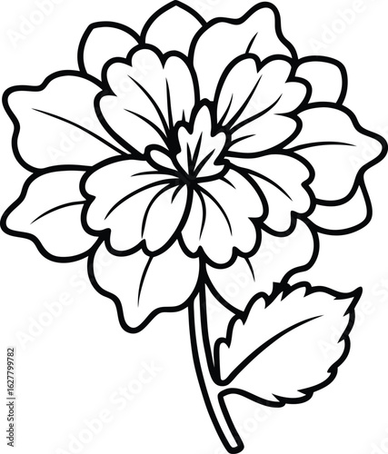 geranium flower vector art