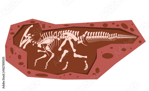 dinosaur fossil large theropod dark red rock formation the bones are scattered and fragmented within the surrounding matrix exploration paleontological excavation