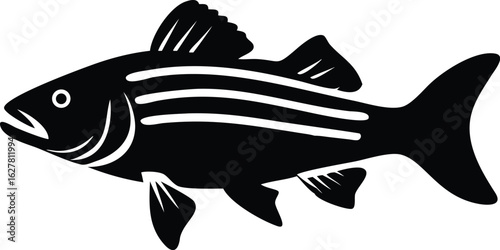 striped bass fish isolated silhouette