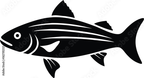 striped bass fish isolated silhouette