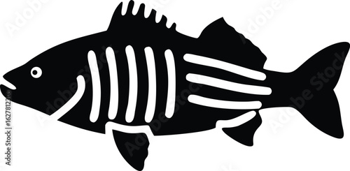 striped bass fish isolated silhouette