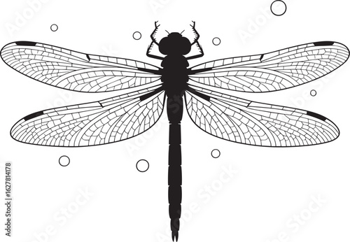 Detailed Dragonfly Silhouette with Bubbles on Transparent Backdrop Insect Vector Illustration