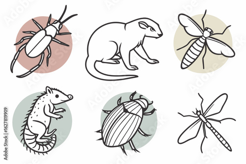 Collection of stylized line drawings of various animals and insects