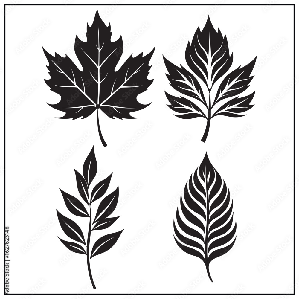 Fototapeta premium Vector art of collection of four different autumn leaves isolated on white background