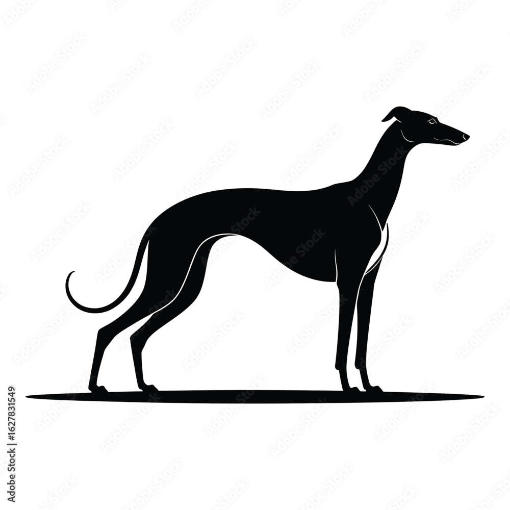Obraz premium Elegant Greyhound Silhouette Standing Proudly on White Background Pet Portrait Design for Print and Digital Uses