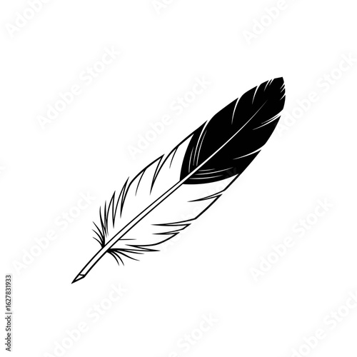 Illustration of a single black and white feather with detailed barbs design