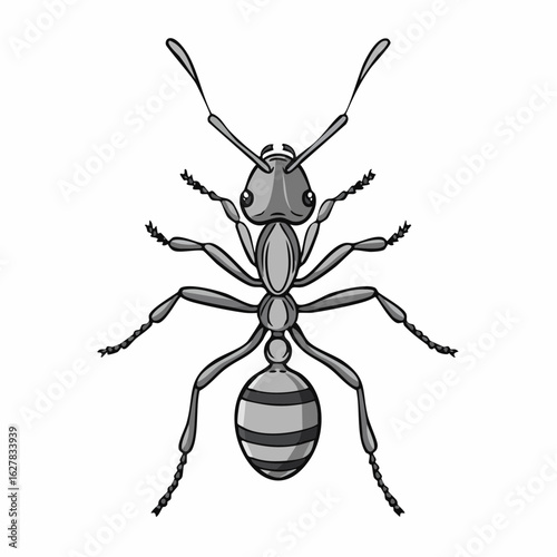 Detailed illustration of an ant with exaggerated features on a white background
