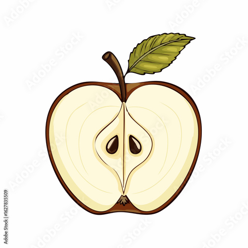Detailed illustration of a halved apple showcasing its core, seeds, and leaf on a clean background