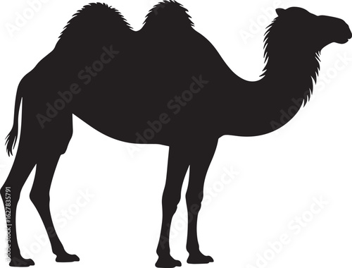 Silhouette of a Camel Standing on Transparent Background for Desert Wildlife and Transportation