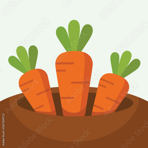 Three fresh carrots growing in rich brown soil