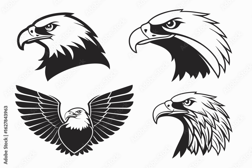 Obraz premium set of eagle