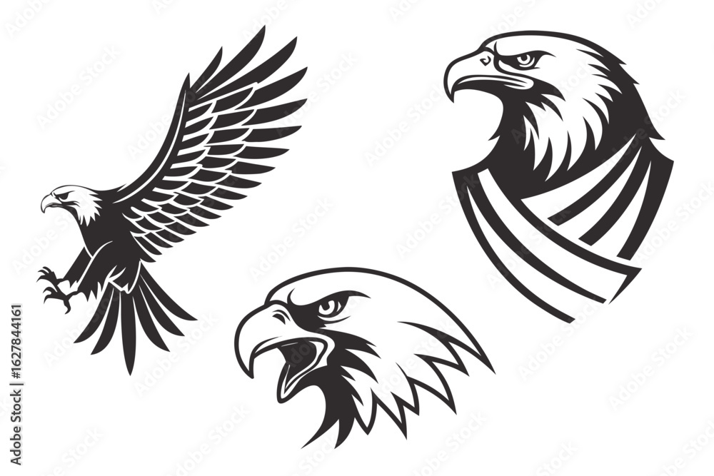 Obraz premium eagle vector illustration