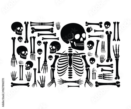 Black skeleton parts isolated on white