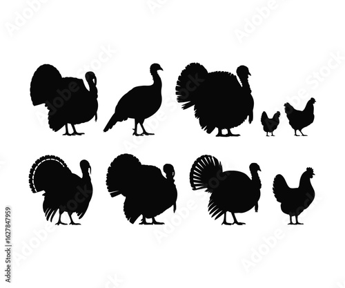 Turkey and chicken silhouette vector set