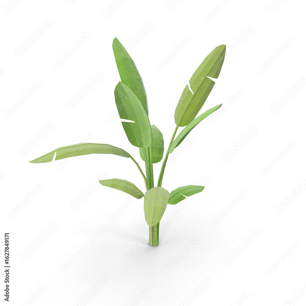 Fototapeta premium Low Poly Tropical Plant with Geometric Leaves Isolated on Transparent Background