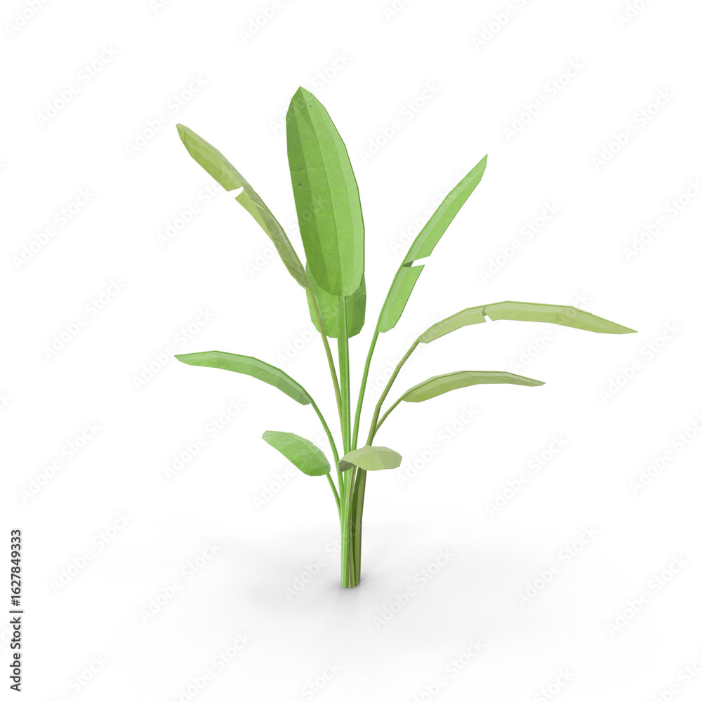 Fototapeta premium Low Poly Tropical Plant with Geometric Leaves Isolated on Transparent Background