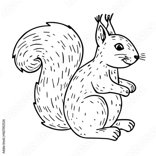 Cute squirrel sitting with bushy tail in black and white sketch style  