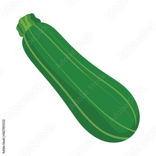 Fresh green zucchini vegetable isolated on white background
