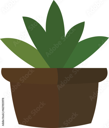 Green potted succulent plant adds fresh botanical touch to your modern interior decor project easily