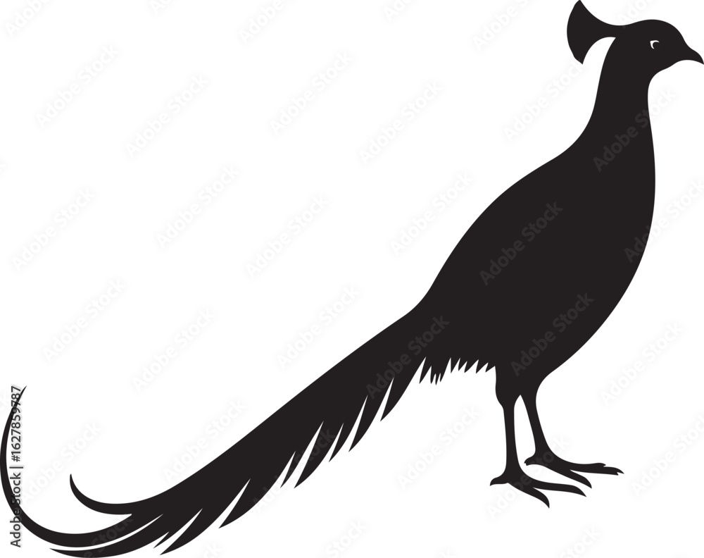 Obraz premium Pheasant bird black silhouette collection vector design 