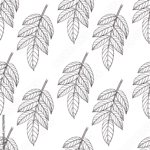 Seamless pattern of walnut leaves, all objects hand-drawn in ink and translated into vector. The illustration is suitable for printing on fabric, paper, for product packaging design and cosmetics.