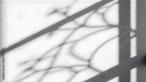 Monochrome Abstract Shadows of Window Frame and Branches on White Wall Creating Contrast and Geometric Patterns