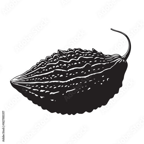  Bitter Gourd in silhouette image white backgrpound.
