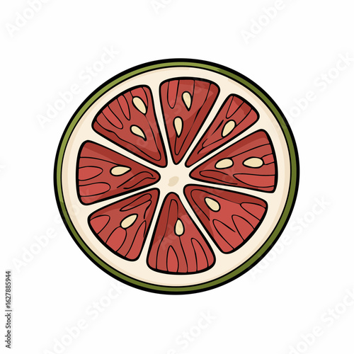 Illustration of a vibrant grapefruit slice showcasing freshness and natural beauty