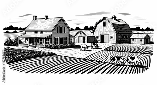 Detailed farm engraving showing farmhouse, barn, and fields. Farm scene features cattle grazing in pasture and growing crops, providing a peaceful rural setting.