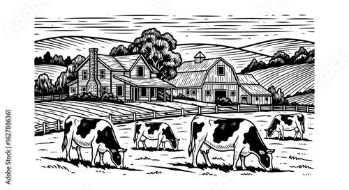 Farm scene showing grazing cows and buildings in countryside. Farm scene offers idyllic view of pasture and animals, capturing rural beauty.