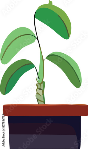 A vibrant illustration of a young potted plant with large green leaves reaching upwards set against a clean white background