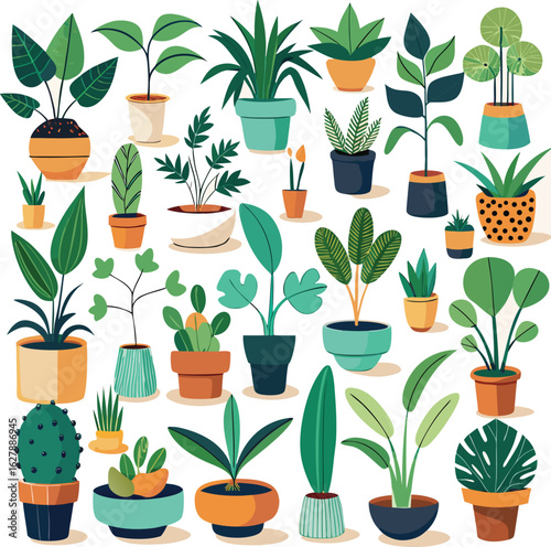 A vibrant collection of assorted potted houseplants showcasing diverse foliage and decorative planters in a cheerful arrangement