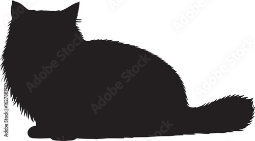 British Longhair cat full image in silhouette image white backgrpound.