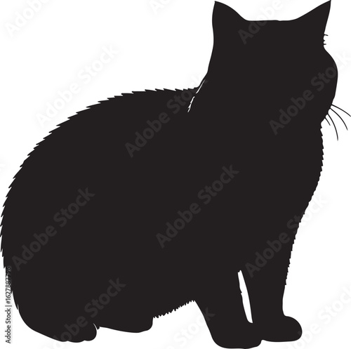 British Shorthair cat full image in silhouette image white backgrpound.