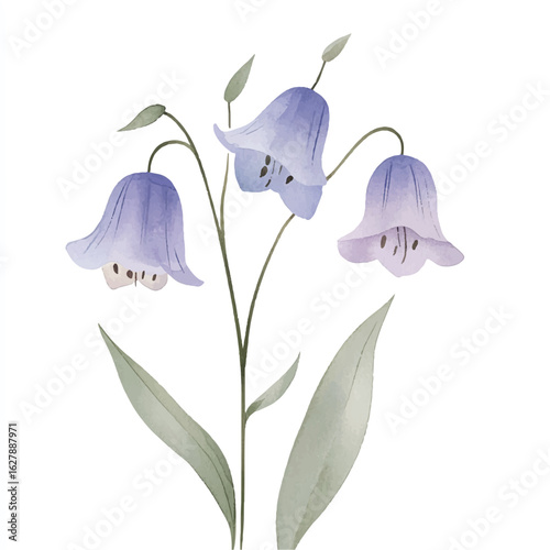 a cute Bluebell flower