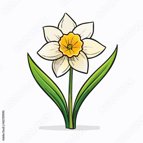 Delicate daffodil illustration featuring soft colors and clean lines on a white background