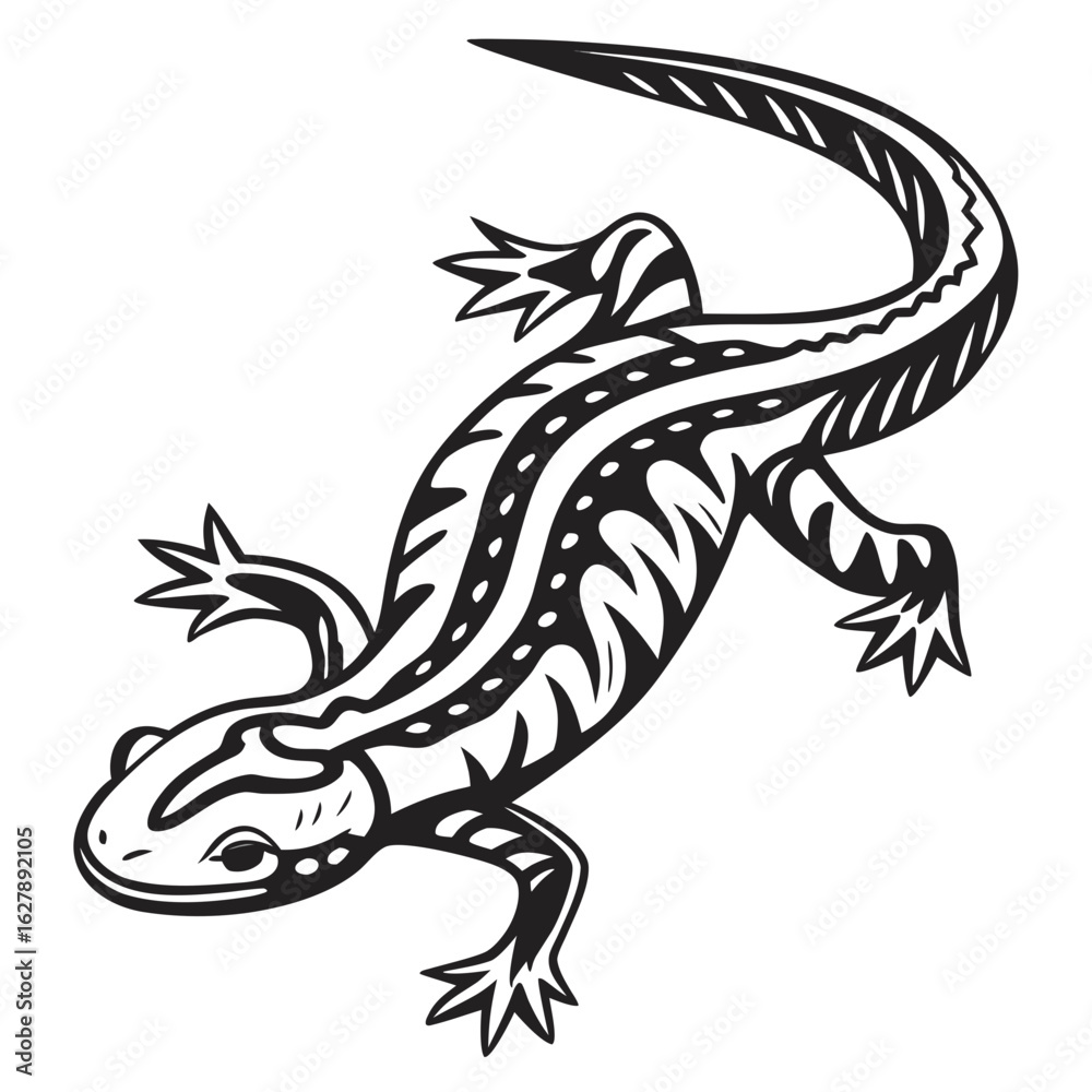 Fototapeta premium Tribal patterned salamander illustration isolated on white background