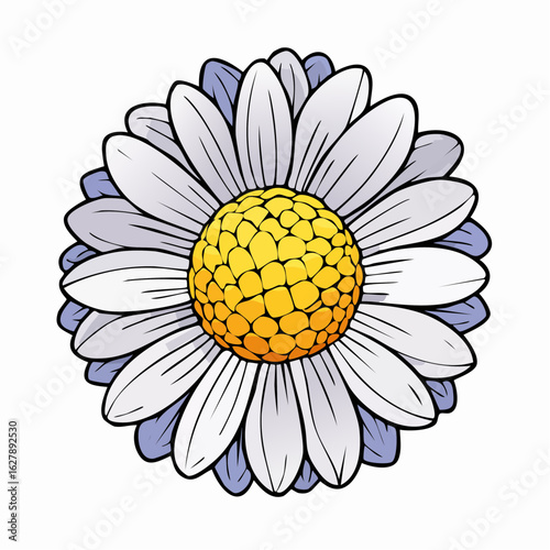 Elegant daisy illustration featuring delicate white and light blue petals surrounding a vibrant yellow center