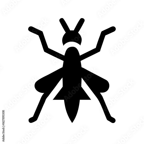 Silhouette of an insect isolated on white background