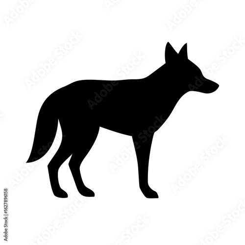 Silhouette of a coyote standing on a white background