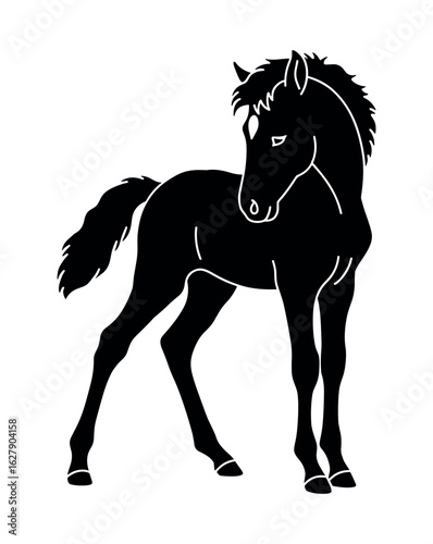 Black foal looking back in a minimalist style