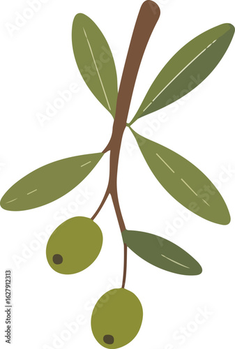 green olive branch