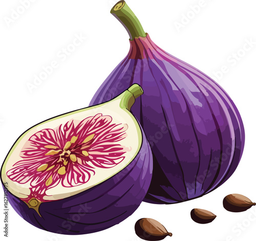 fresh purple onion