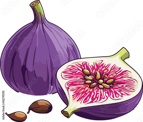 fresh figs isolated on white background